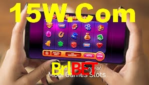 Daily Bonuses Brlbet